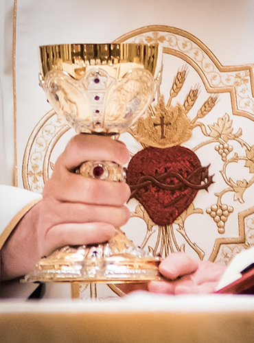 Request a Mass online with the Legionaries of Christ. Novena of Masses